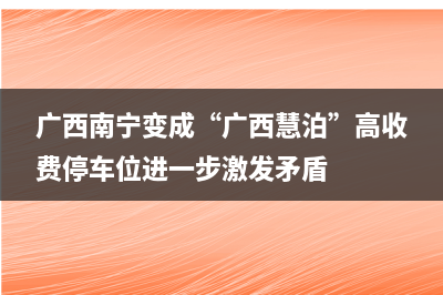 广西南宁变成“广西慧泊”高收费停车位进一步激发矛盾