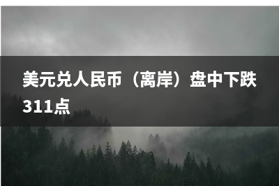 中国外汇市场指导委员会：坚决抑制汇率大起大落