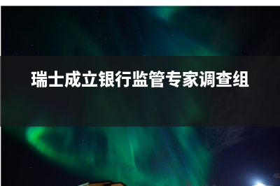 瑞士成立银行监管专家调查组