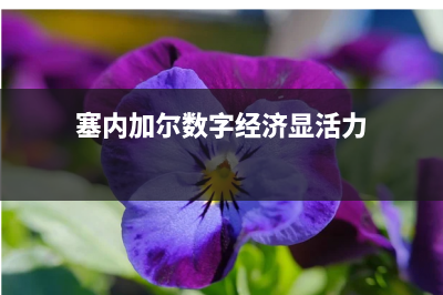 不再忽视债务上限风险！股债汇市场开始为“最坏情况”做准备