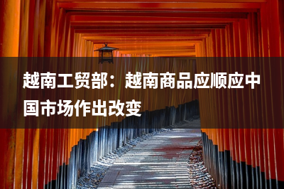 越南工贸部：越南商品应顺应中国市场作出改变