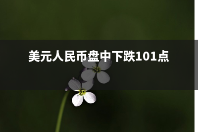 邦达亚洲:经济数据表现疲软 欧元小幅收跌