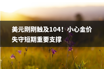 第十六届兰卡威国际海事和航空展开幕