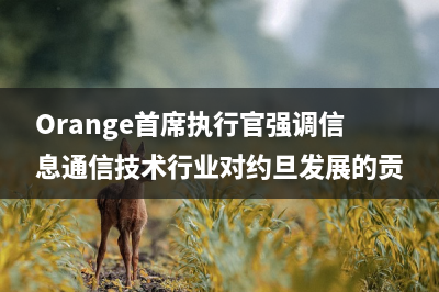 Orange首席执行官强调信息通信技术行业对约旦发展的贡献