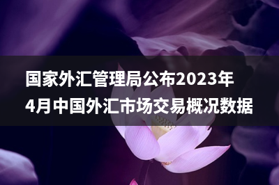 国家外汇管理局公布2022年末我国对外证券投资资产分国家/地区及分居民持有者部门数据