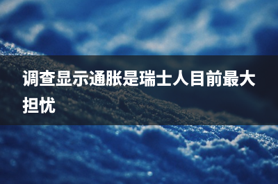 瑞士首次接任联合国安理会轮值主席期间工作运行顺利