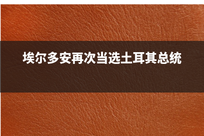 埃尔多安再次当选土耳其总统