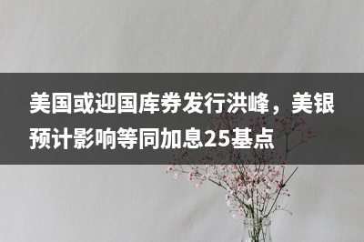 美国或迎国库券发行洪峰，美银预计影响等同加息25基点